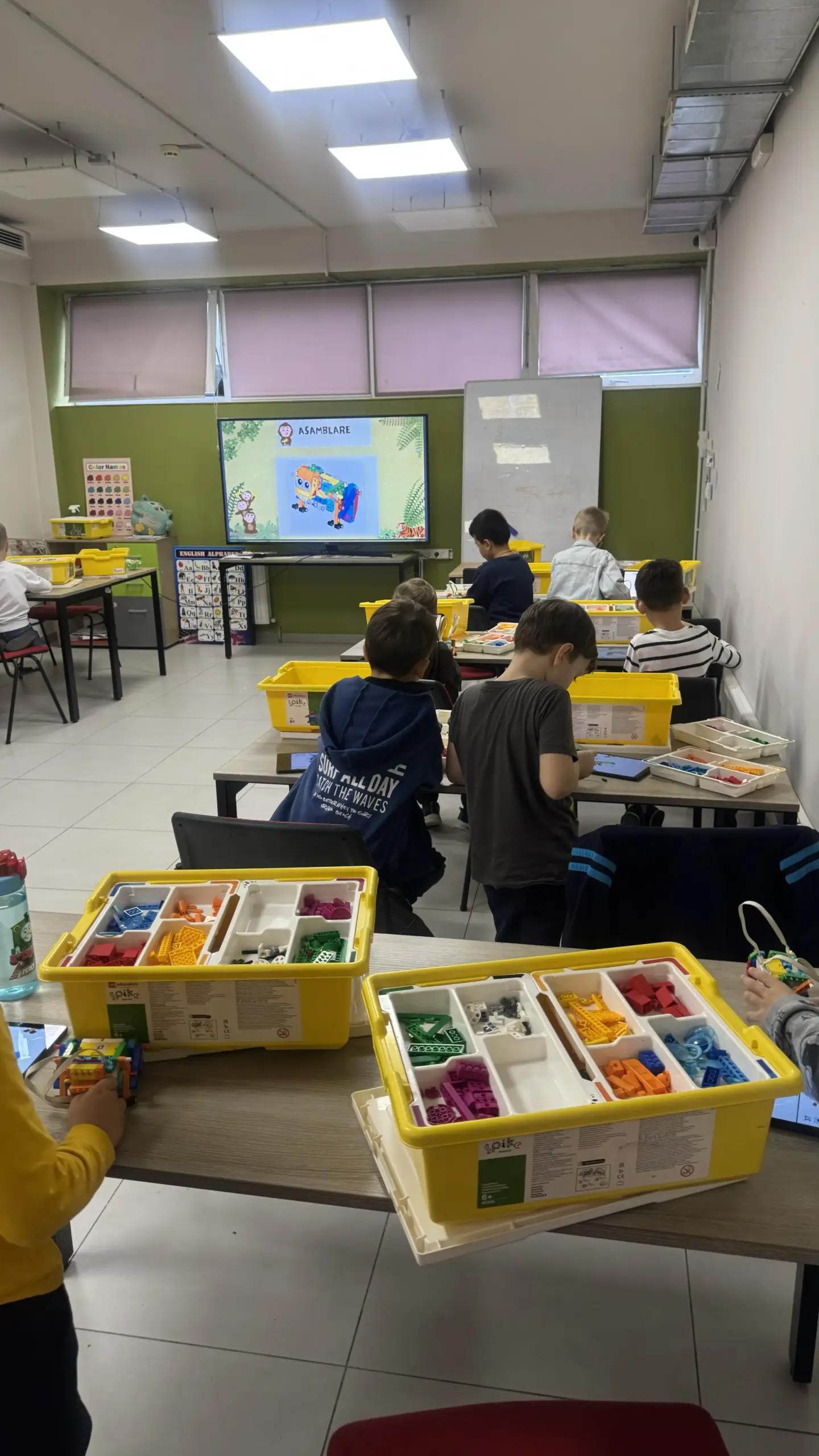 tekwill academy kids rezultate copii