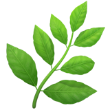 Nivelul Intermediar icon