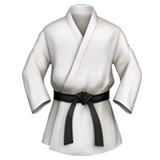 Taekwondo iconita
